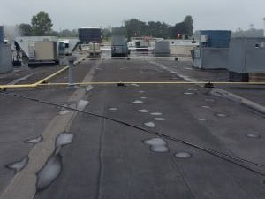 Roof Coatings1