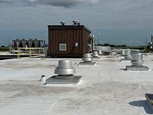 Commercial Roof1