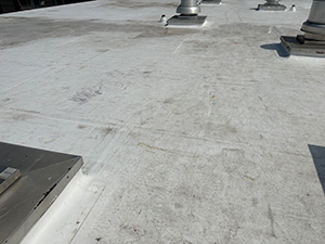 Commercial Roof1