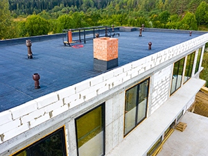 Liquid Applied Roof Systems1